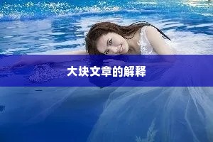 大块文章的解释