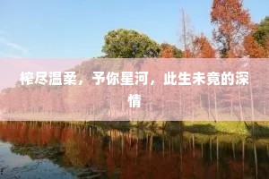 榨尽温柔，予你星河，此生未竟的深情