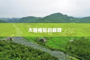 大辂椎轮的解释