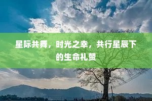 星际共舞，时光之幸，共行星辰下的生命礼赞