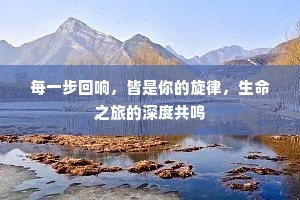 每一步回响，皆是你的旋律，生命之旅的深度共鸣