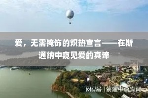 爱，无需掩饰的炽热宣言——在斯通纳中窥见爱的真谛