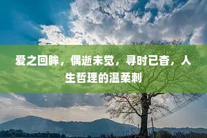 爱之回眸，偶逝未觉，寻时已杳，人生哲理的温柔刺