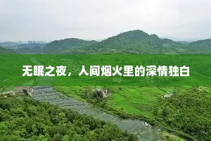 无眠之夜，人间烟火里的深情独白