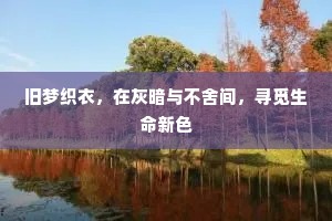旧梦织衣，在灰暗与不舍间，寻觅生命新色