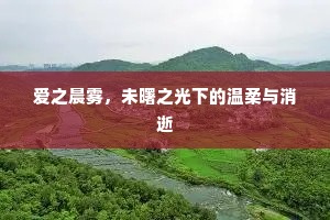 爱之晨雾，未曙之光下的温柔与消逝