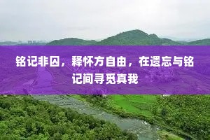 铭记非囚，释怀方自由，在遗忘与铭记间寻觅真我