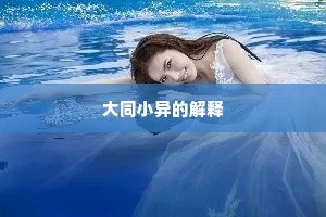 大同小异的解释
