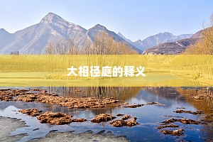 大相径庭的释义