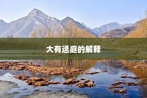 大有迳庭的解释