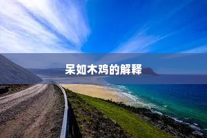 呆如木鸡的解释