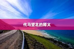 代马望北的释义