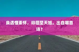 机不可失，失不再来的成语解释
