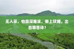 鸡声鹅斗的释义