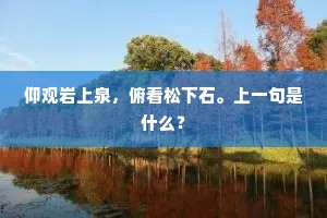 所思不可见，孤磬出烟萝。下一句是什么？
