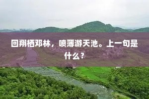 袖薄天寒无限意，至今犹忆淡妆人。的意思及出处