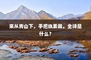 观音山路黯，飞些重欷歔。的释义