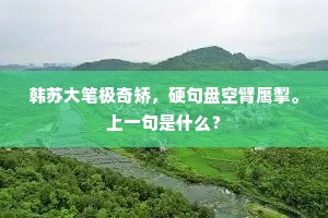 汉家宫殿看龙首，秦地山川入马蹄。的解释