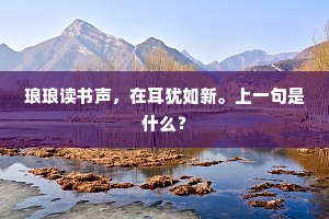 人比鲁连豪，伍无樊哙耻。上一句是什么？