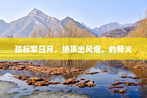 光霁满人间，谁领吟风调。的意思及出处