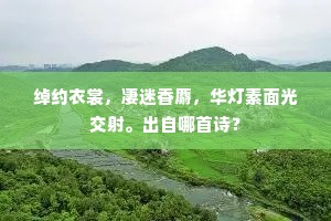文如楚宾醉后藁，下笔应得银盆㪺。的释义