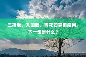 群芳伴雨泣，百竅随风吟。全诗是什么？