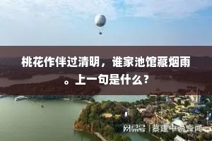 家世本丘壑，才具非璆琳。上一句是什么？