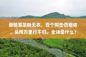 谓良为常兮谁哉暴者？的释义