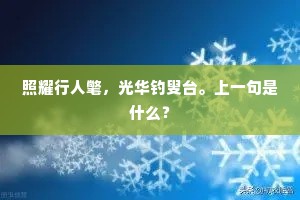国事须才急，如公亦古人。的解释