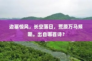 心赏地曾妍，目行天不尽。的解释