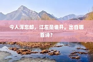 我抱无兄恨，且为世道悲。的释义