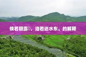 归来翳编翟,況乃贯愁霖。的意思及出处 归来翳编翟,況乃贯愁霖。的意思及出处