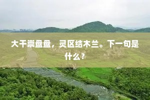彼皆身取千古去，乃畀我任今日愁。的解释