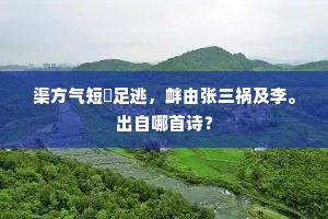 生死之墙，为何痛恨死亡不公，乃人性对正义的终极呼唤