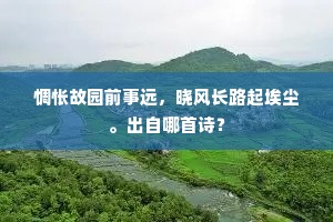 索梅本谓能供笑，对尔寒花更不禁。的意思及出处