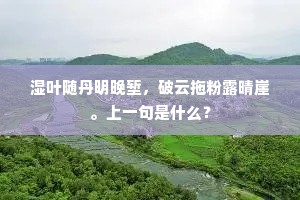 积重不返的释义