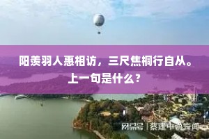 劳有所获，死而无憾，达芬奇笔下的生命真谛