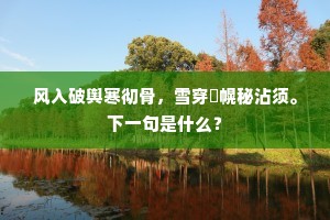 赍志而殁的成语解释