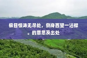 来往蒲帆浑不定，忘机沙上闲禽。下一句是什么？