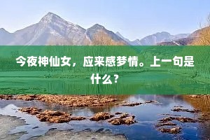 青春赌局，以幸福为注，换取成功的真谛