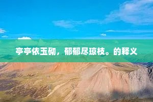 青春如火，绽放生命最绚烂之花