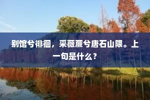 及笄年华的释义