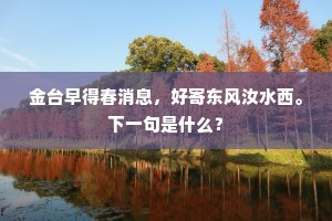 青春逝水，梦醒无痕，生命不可承受之轻