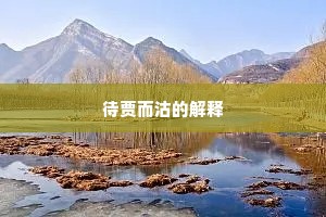 待贾而沽的解释