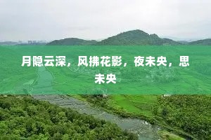 月隐云深，风拂花影，夜未央，思未央