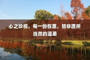 心之珍视，每一份在意，皆非理所当然的温柔
