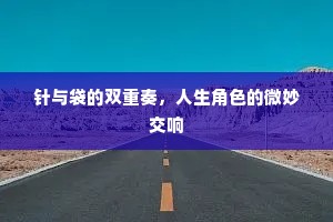 针与袋的双重奏，人生角色的微妙交响