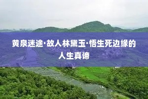 黄泉迷途·故人林黛玉·悟生死边缘的人生真谛