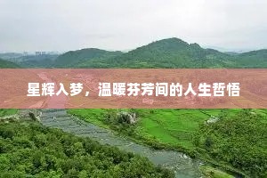 星辉入梦，温暖芬芳间的人生哲悟