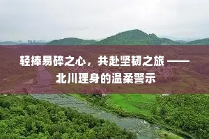 轻捧易碎之心，共赴坚韧之旅 —— 北川理身的温柔警示